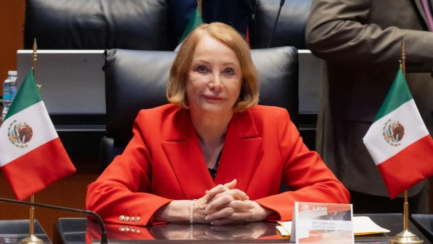 Laura Itzel Castillo será la próxima presidenta del Senado: Morena la elige por unanimidad