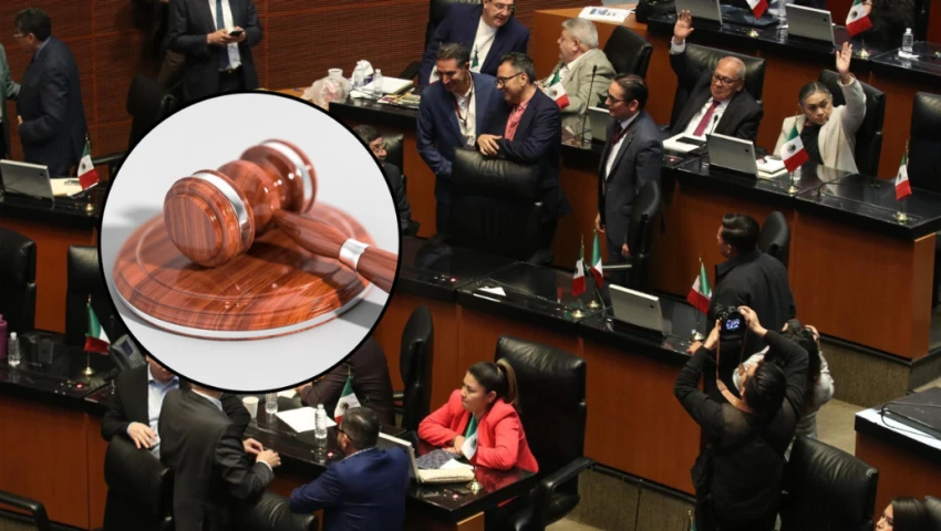Ley de Amparo aprobada en el Senado Ley de Amparo aprobada en el Senado