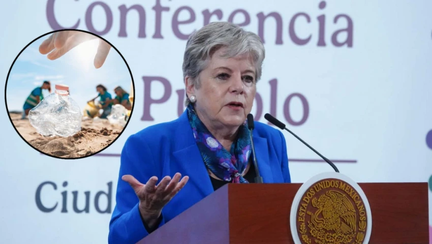 Alicia Bárcena Alicia Bárcena