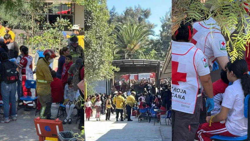 LISTA de escuelas con intoxicación masiva en Tijuana: ¿Por qué se enfermaron los alumnos?
