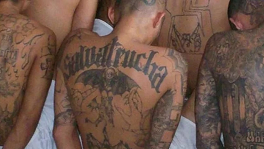 Tren de Aragua y Mara Salvatrucha: qué son y cómo operan los cárteles que Trump declaró terroristas
