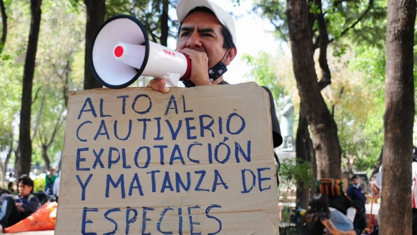 Marchas hoy, 18 de febrero, en CDMX: Zonas afectadas y horarios