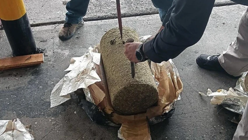 Decomiso de marihuana Decomiso de marihuana