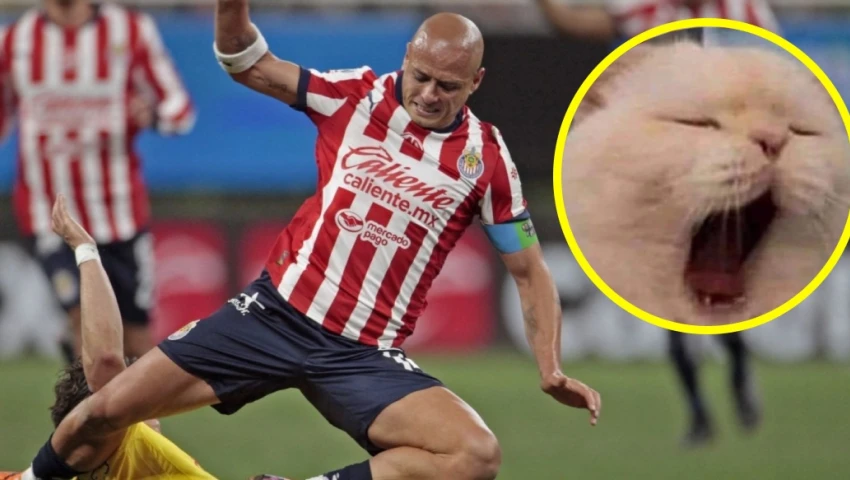 memes chivas america partido furbol estadio akron