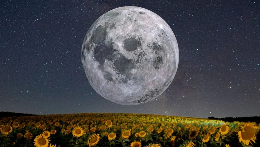 Microluna y Luna de Flores 2025 ¿cuándo ver este doble espectáculo en México