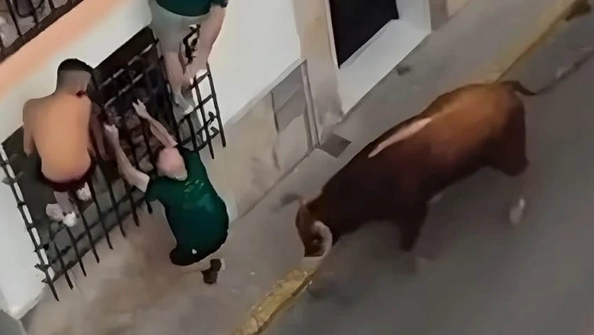 Muere un hombre corneado por un toro