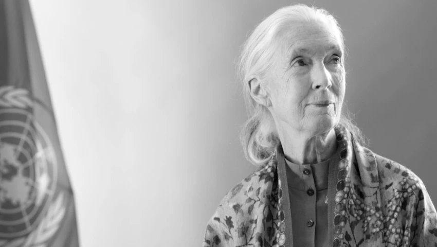 Jane Goodall Jane Goodall