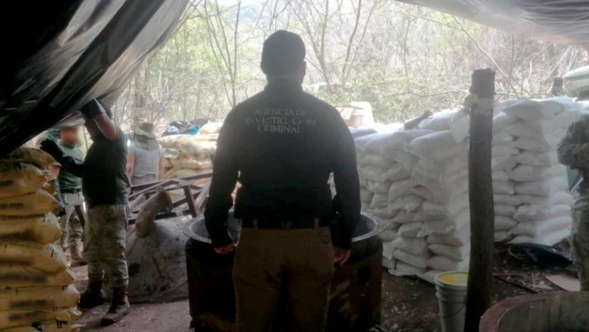 Desmantelan narcolaboratorios en Michoacán Desmantelan narcolaboratorios en Michoacán