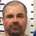Chapo Guzmán y El Mayo Zambada Chapo Guzmán y El Mayo Zambada