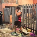despojo de casas invasores detenidos naucalpan estado de méxico