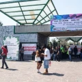 Berenice Giles, Parque Bicentenario, Festival AXE Ceremonia, Miguel Hernández, fotógrafos fallecidos