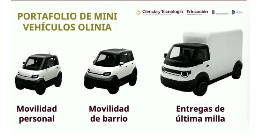 Olinia