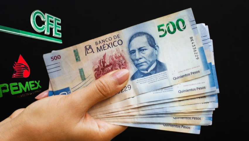 Pensiones en Pemex y CFE Pensiones en Pemex