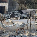 "Perder el esfuerzo de años duele profundamente": Familias mexicanas PIERDEN TODO en incendios de California