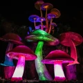Picnic Nocturno Bioluminiscente en Chapultepec: GRATIS este Sábado de Gloria en el Festival SPORA 2025