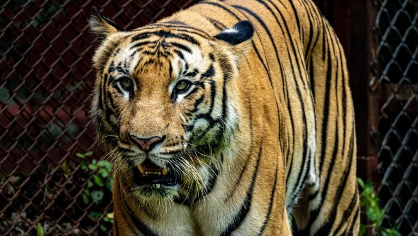 Polémica en zoológico