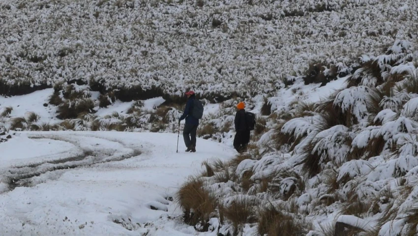 ¿Dónde nevará y lloverá hoy? Conoce el pronóstico del clima para el 21 de noviembre