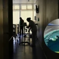 Brote epidemiológico Edomex: ¿Cómo se contagia la bacteria Klebsiella oxytoca?
