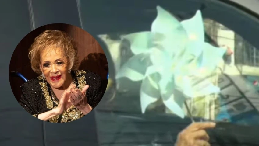 ¿Qué representan los rehiletes en el homenaje a Silvia Pinal en Bellas Artes?