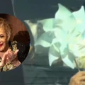 ¿Qué representan los rehiletes en el homenaje a Silvia Pinal en Bellas Artes?