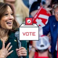 ¿Cómo el voto latino definirá las elecciones de EU? Estados claves y a quien apoyan