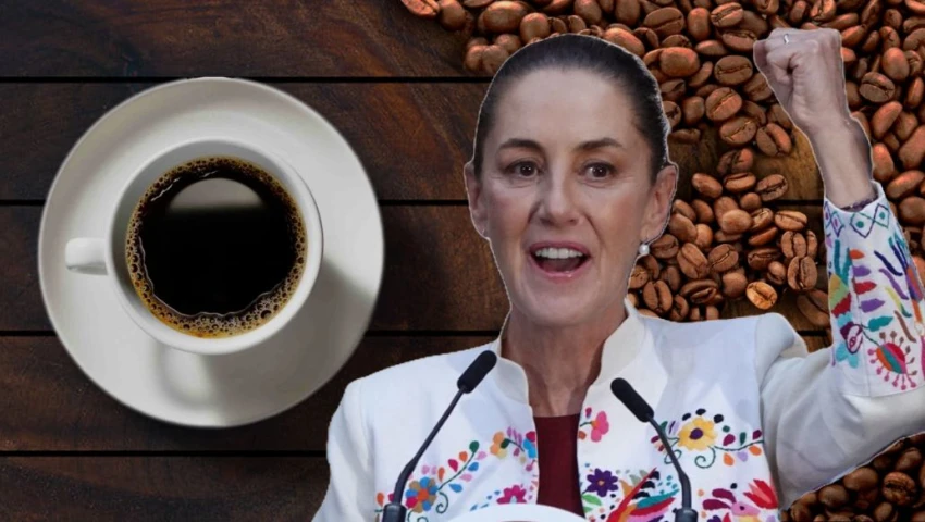 ¿Adiós a Starbucks? Así quiere Sheinbaum que disfrutes el nuevo Café del Bienestar