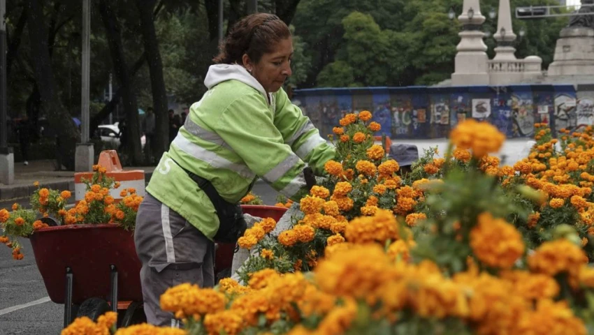 ¡No te quedes sin tus flores! Todo sobre el Festival de Cempasúchil en CDMX 2024