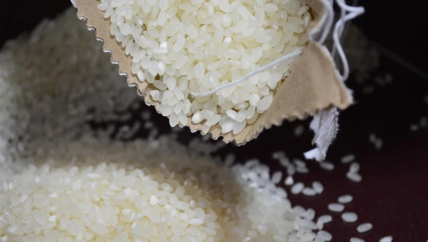 Mejores marcas de arroz