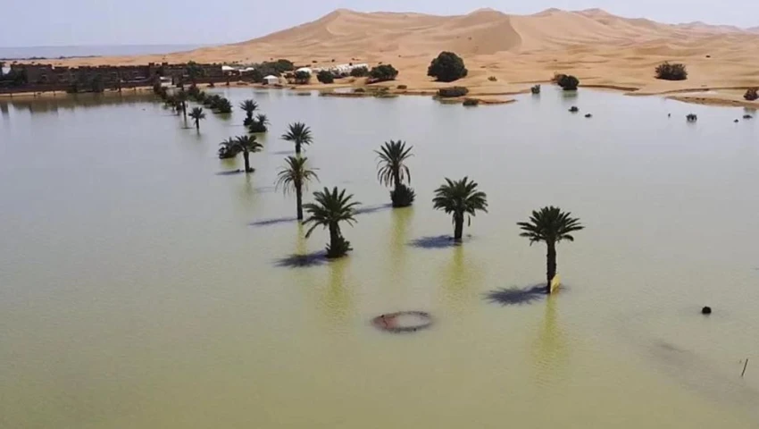 Desierto del Sahara se inunda por primera vez en décadas
