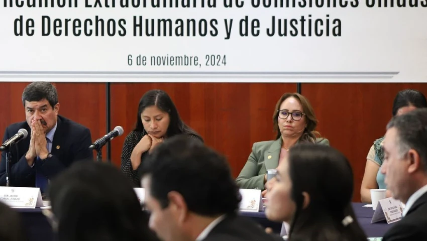 Senado, CNDH, Derechos humanos, Rosario Piedra