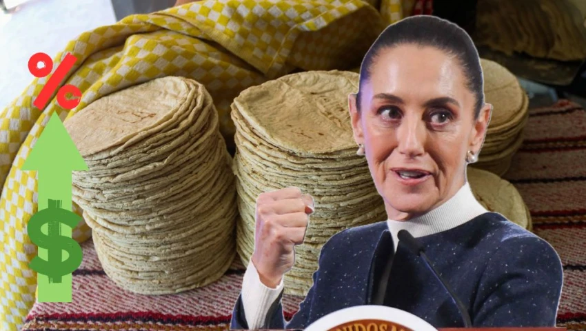 ¿Claudia Sheinbaum frenará el incremento al precio de la tortilla en 2025? Este es su plan