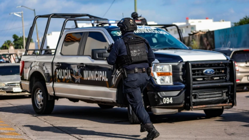 Violencia en Sinaloa Violencia en Sinaloa